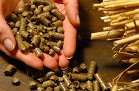 free Gunn biomass boiler quotes