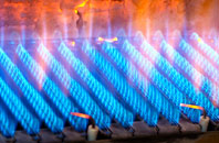 Gunn gas fired boilers